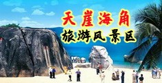 破处视频直播网站海南三亚-天崖海角旅游风景区