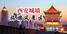 狂操视频中国陕西-西安城墙旅游风景区